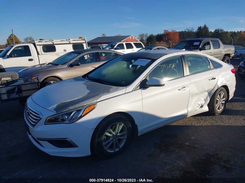 VIN 5NPE24AA5HH445878 2017 HYUNDAI SONATA ECO