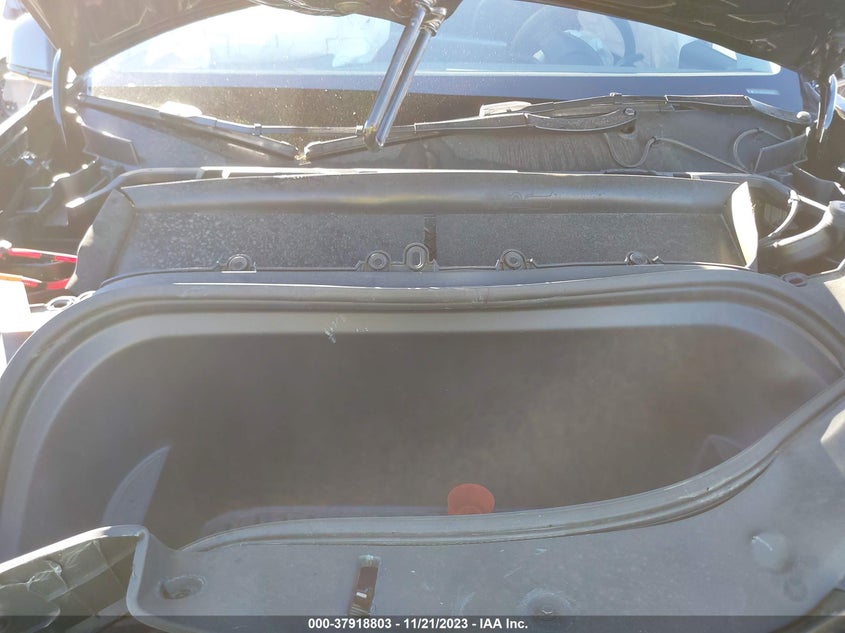 VIN 7SAYGDEE7PA113126 2023 TESLA MODEL Y