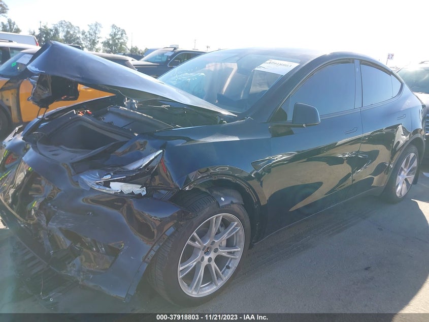VIN 7SAYGDEE7PA113126 2023 TESLA MODEL Y