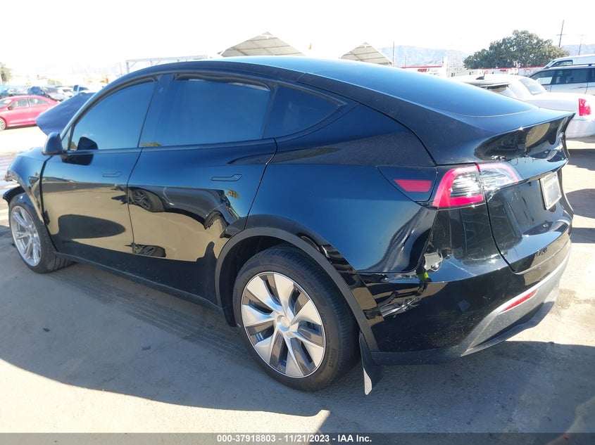 VIN 7SAYGDEE7PA113126 2023 TESLA MODEL Y