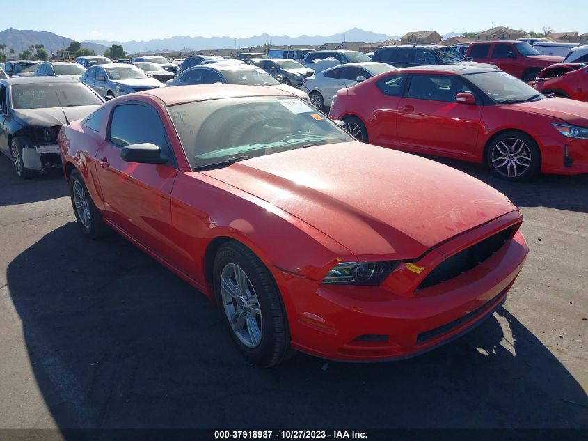 2013 FORD MUSTANG V6 - 1ZVBP8AMXD5244829