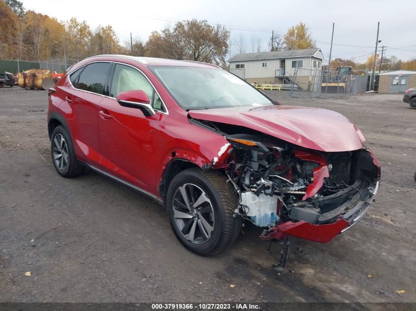 JTJBARBZ8K2215054 LEXUS NX NX 300 2019