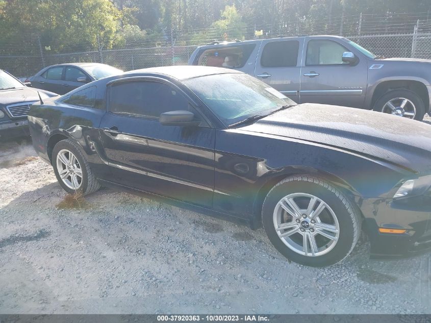 2014 FORD MUSTANG - 1ZVBP8AM5E5249020