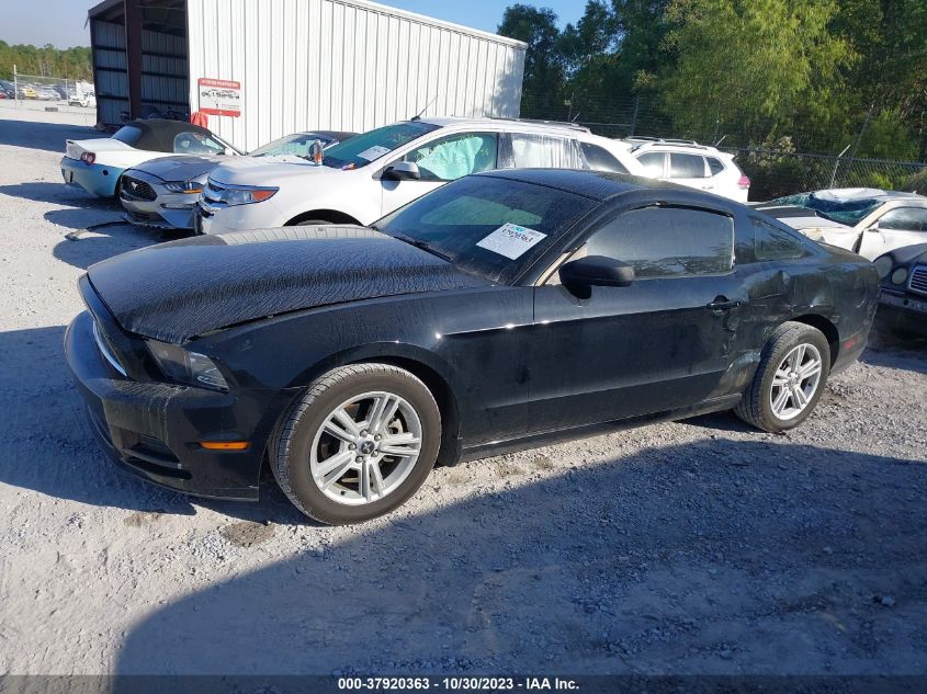 2014 FORD MUSTANG - 1ZVBP8AM5E5249020