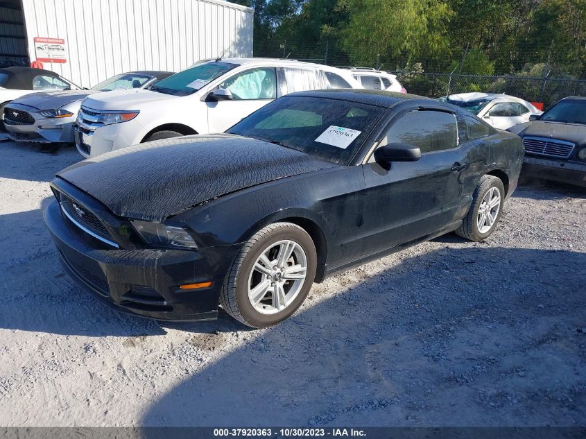 2014 FORD MUSTANG - 1ZVBP8AM5E5249020