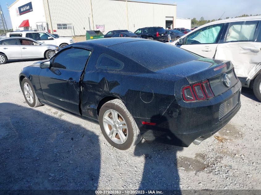2014 FORD MUSTANG - 1ZVBP8AM5E5249020