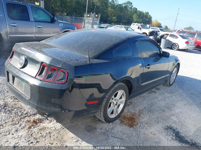 2014 FORD MUSTANG - 1ZVBP8AM5E5249020