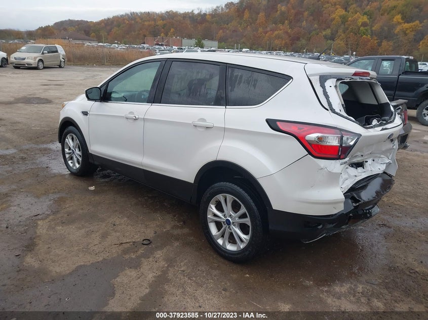 VIN 1FMCU9GD3HUE03579 2017 FORD ESCAPE SE
