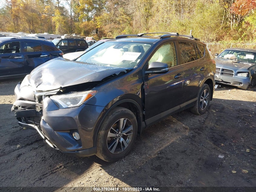 VIN JTMRFREV3HJ124431 2017 TOYOTA RAV4 XLE