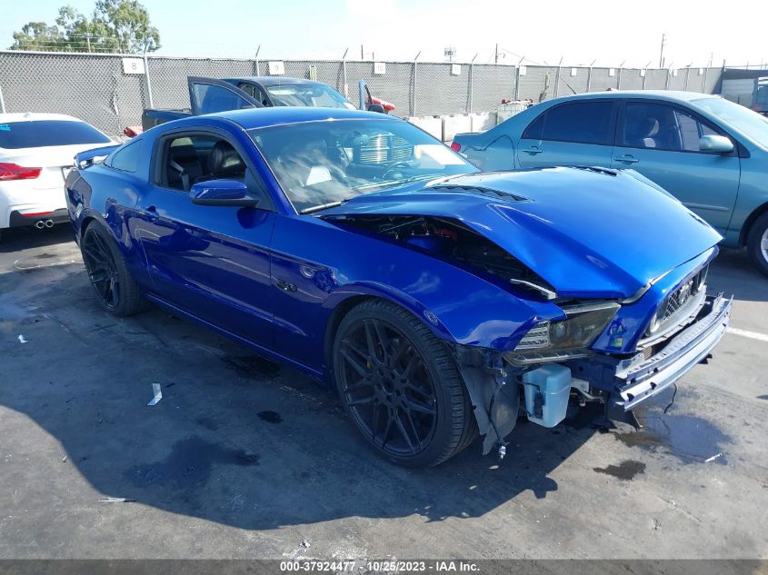 1ZVBP8CF5D5269569 2013 FORD MUSTANG, photo no. 1