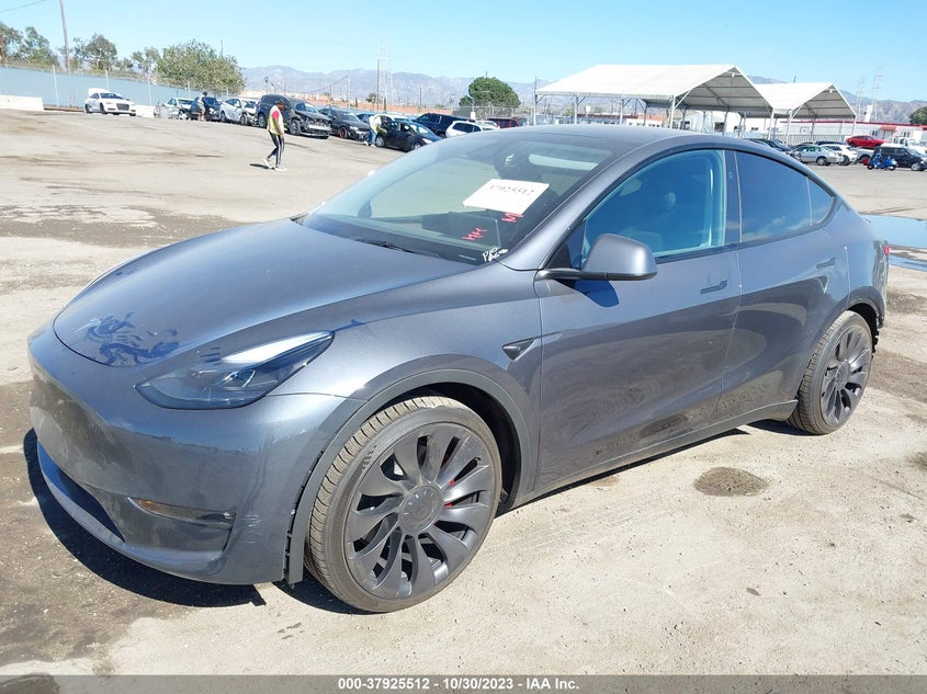 VIN 7SAYGDEF8PF863663 2023 TESLA MODEL Y