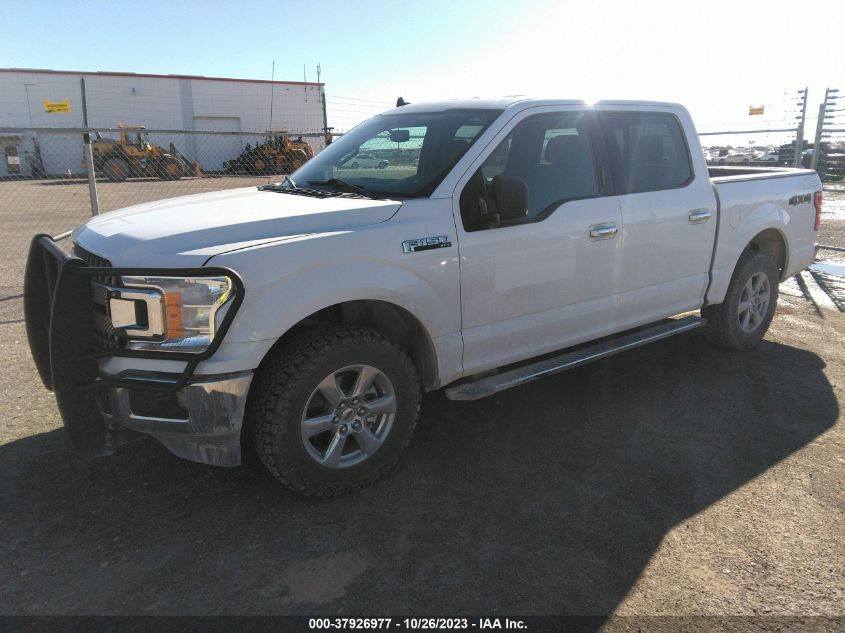 2019 FORD F-150 XL/XLT/LARIAT - 1FTEW1EP4KKD49542