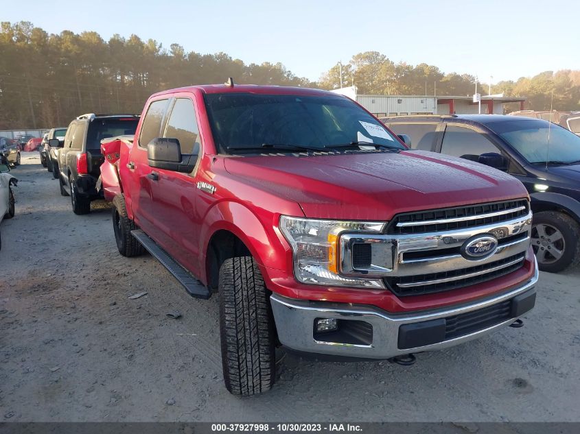 2019 FORD F-150 XL/XLT - 1FTEW1EB4KKC26800