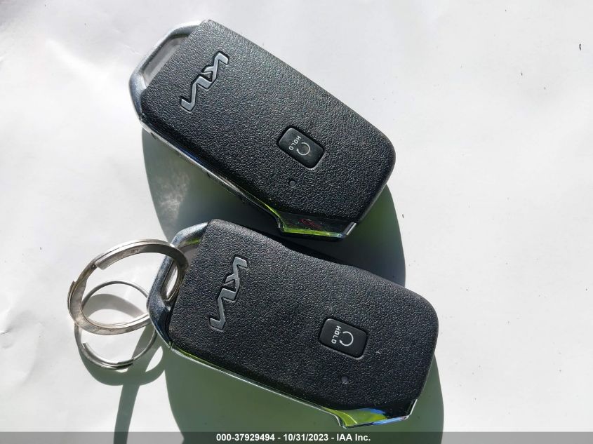 2022 KIA TELLURIDE EX - 5XYP3DHC6NG320064