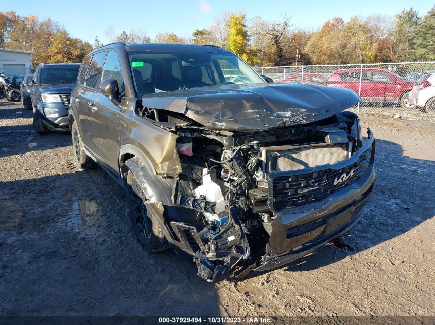 2022 KIA TELLURIDE EX - 5XYP3DHC6NG320064