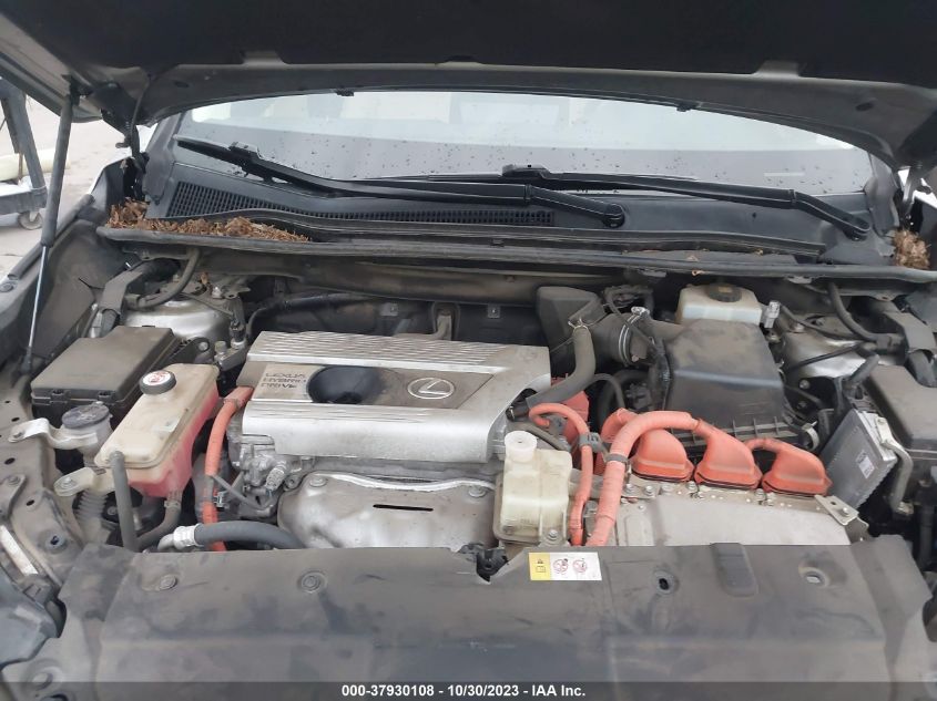 2019 LEXUS NX 300H JTJBJRBZ5K2104414