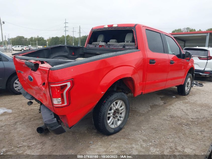 2015 FORD F-150 XLT/XL - 1FTEW1E85FKE11643