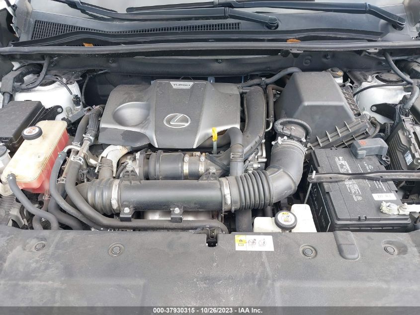 2019 LEXUS NX NX 300 - JTJYARBZ2K2124033