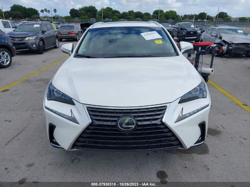 2019 LEXUS NX NX 300 - JTJYARBZ2K2124033