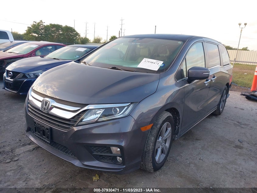 VIN 5FNRL6H72KB137710 2019 HONDA ODYSSEY EX-L