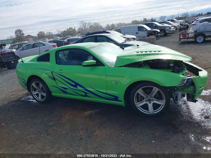 2013 FORD MUSTANG GT - 1ZVBP8CF4D5245019