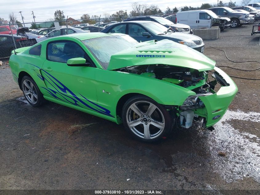 2013 FORD MUSTANG GT - 1ZVBP8CF4D5245019