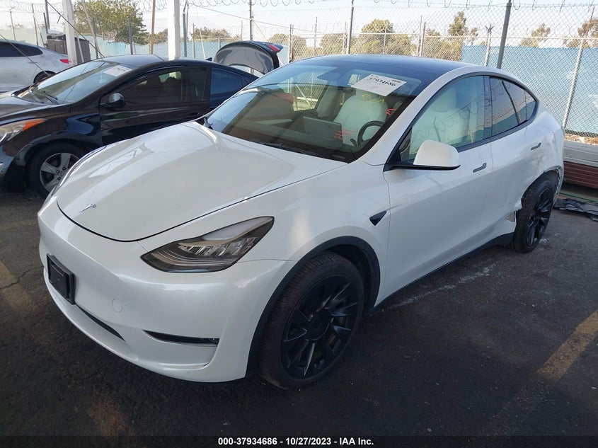 VIN 7SAYGDEEXPF591334 2023 TESLA MODEL Y