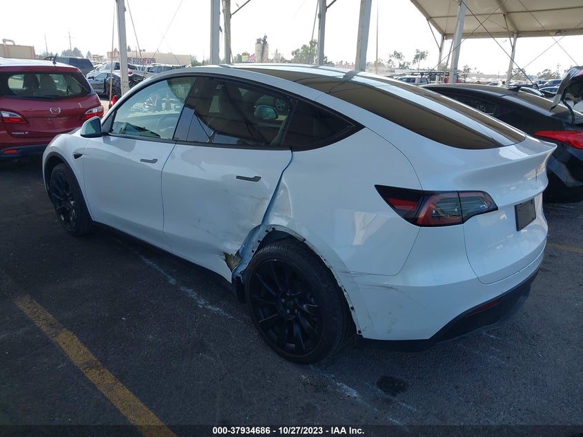 VIN 7SAYGDEEXPF591334 2023 TESLA MODEL Y