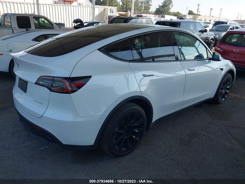 VIN 7SAYGDEEXPF591334 2023 TESLA MODEL Y