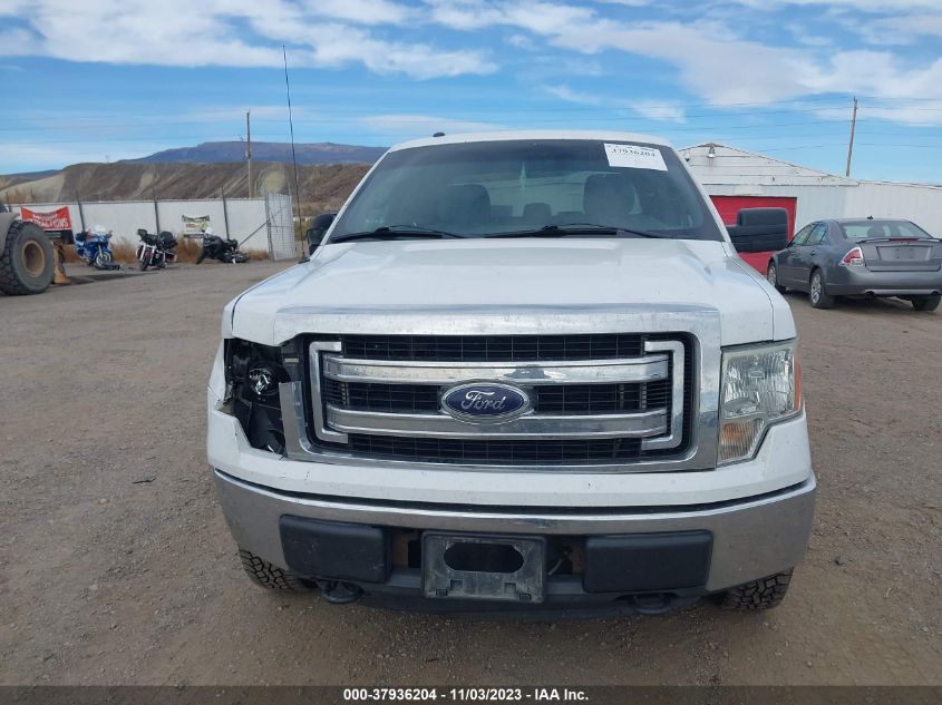 2013 FORD F-150 XLT - 1FTEX1EM7DFA40744