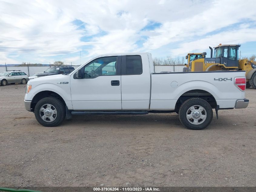 2013 FORD F-150 XLT - 1FTEX1EM7DFA40744