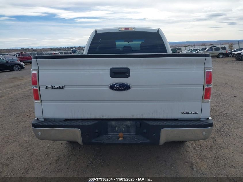 2013 FORD F-150 XLT - 1FTEX1EM7DFA40744