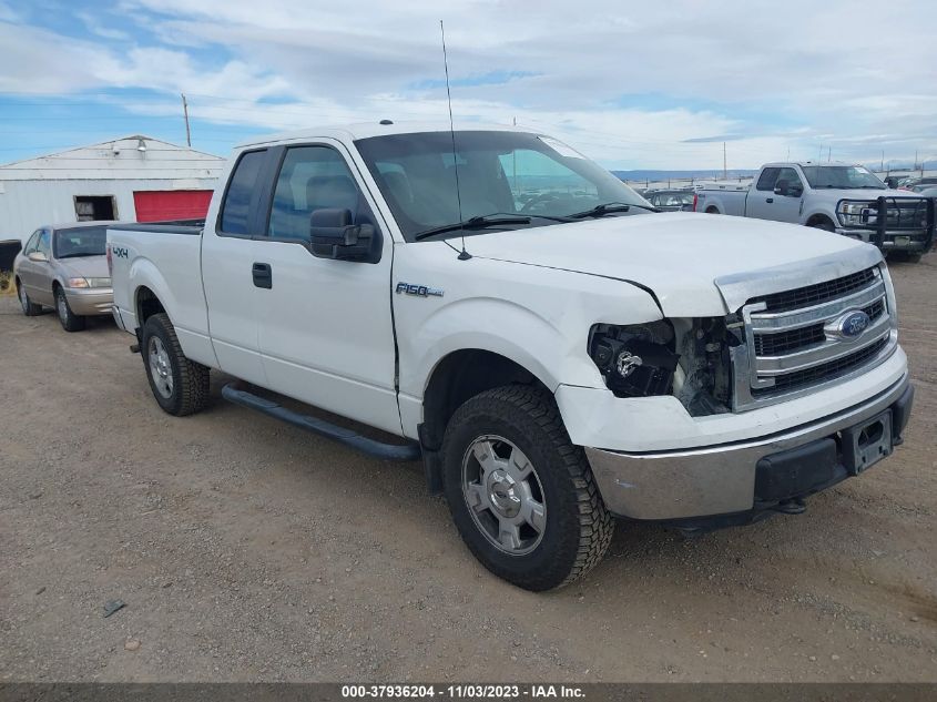 2013 FORD F-150 XLT - 1FTEX1EM7DFA40744