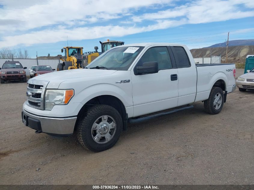 2013 FORD F-150 XLT - 1FTEX1EM7DFA40744