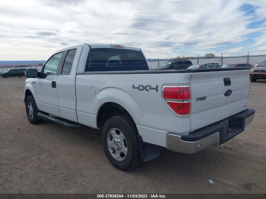 2013 FORD F-150 XLT - 1FTEX1EM7DFA40744