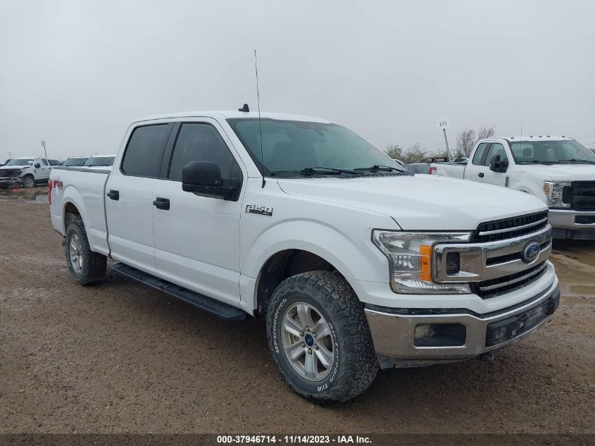 2020 FORD F-150 XLT - 1FTFW1E52LKE46825