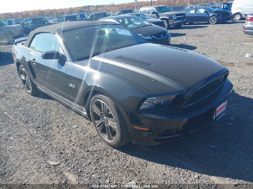 Lot #2539238159 2014 FORD MUSTANG GT PREMIUM salvage car