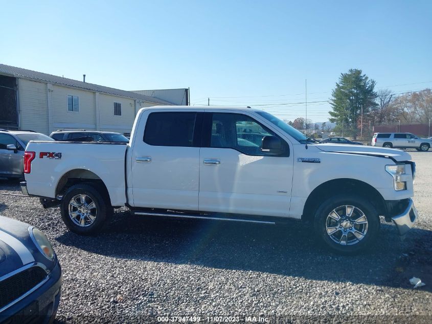 2015 FORD F-150 XLT - 1FTEW1EG9FFC84847