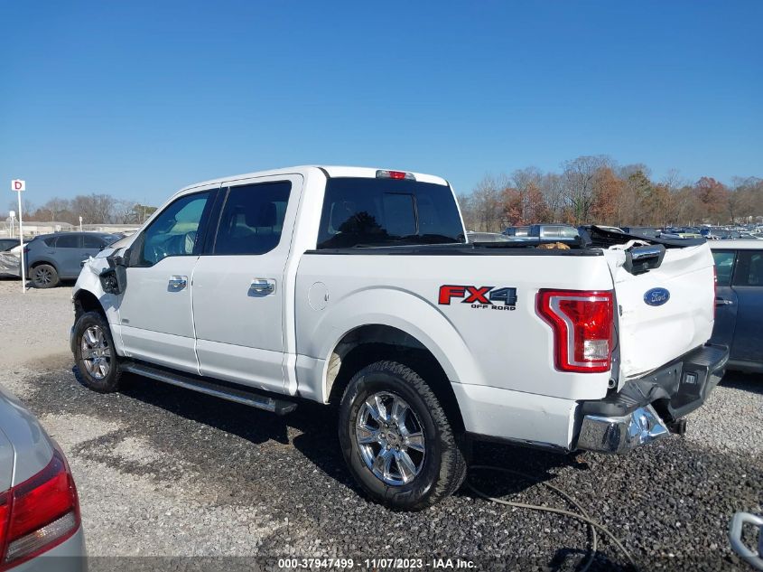 2015 FORD F-150 XLT - 1FTEW1EG9FFC84847