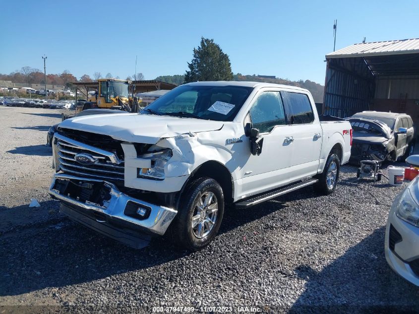 2015 FORD F-150 XLT - 1FTEW1EG9FFC84847