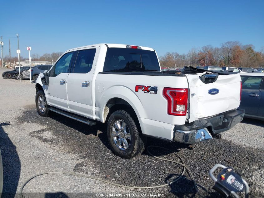 2015 FORD F-150 XLT - 1FTEW1EG9FFC84847