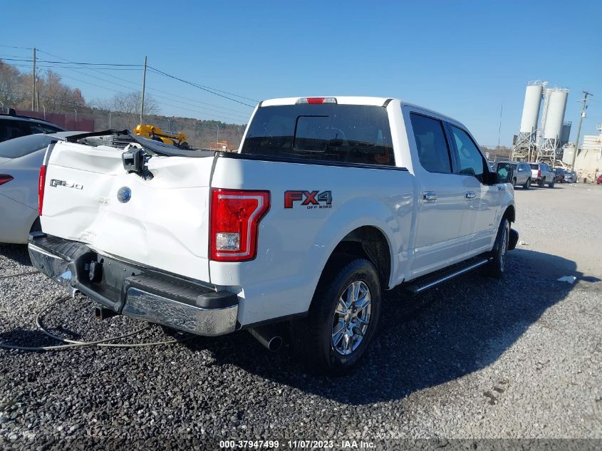 2015 FORD F-150 XLT - 1FTEW1EG9FFC84847