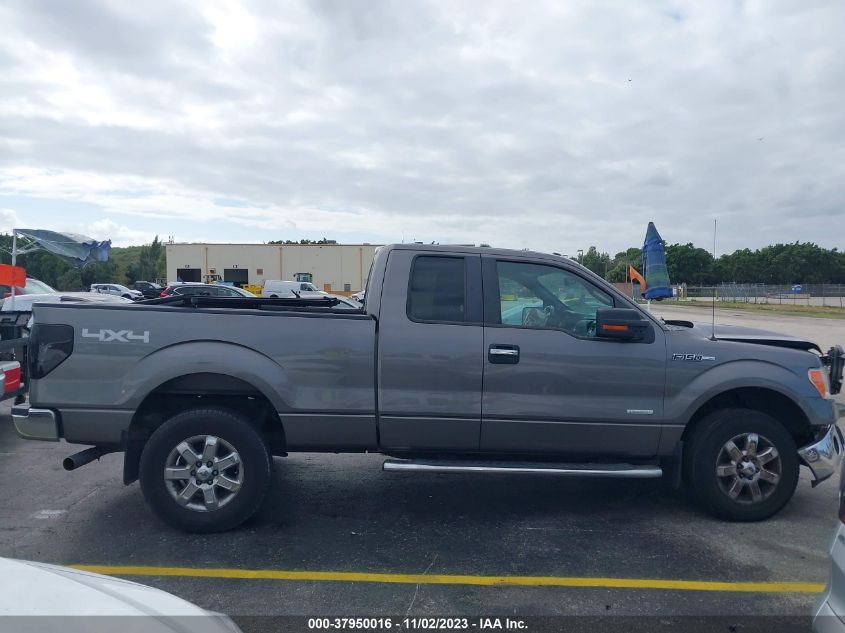 2013 FORD F-150 XLT - 1FTFX1ET5DFB58514