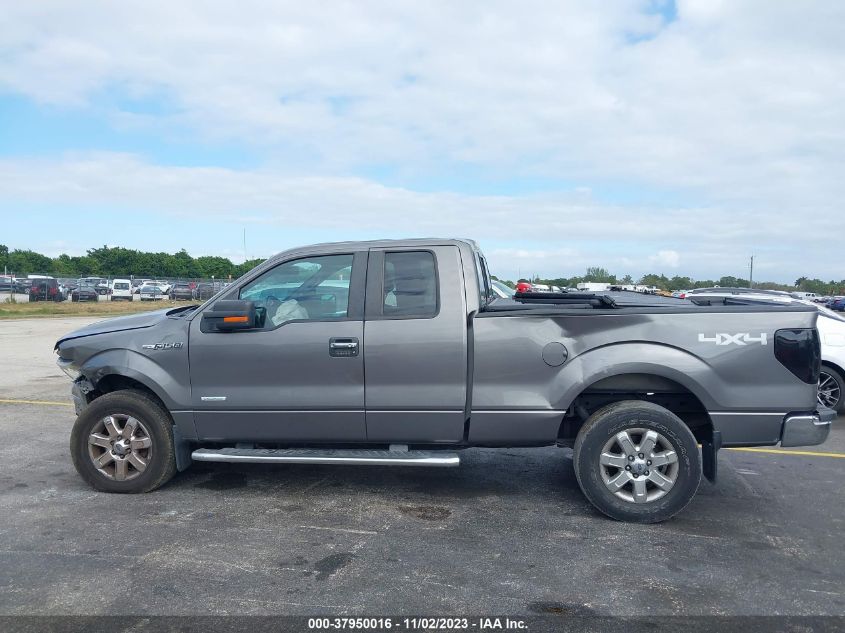 2013 FORD F-150 XLT - 1FTFX1ET5DFB58514