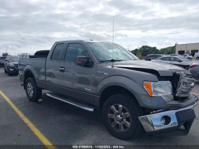 2013 FORD F-150 XLT - 1FTFX1ET5DFB58514