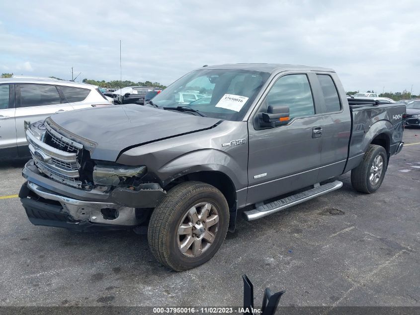 2013 FORD F-150 XLT - 1FTFX1ET5DFB58514