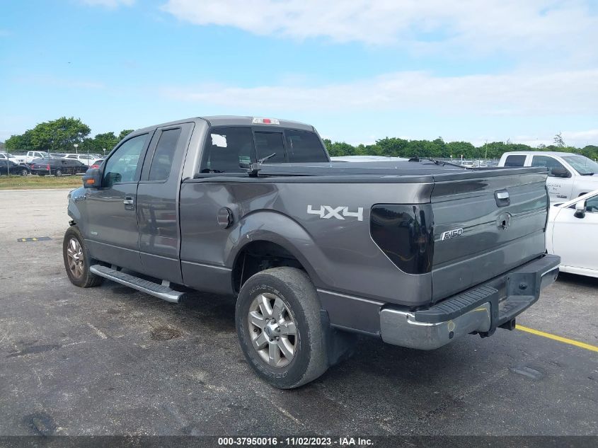 2013 FORD F-150 XLT - 1FTFX1ET5DFB58514