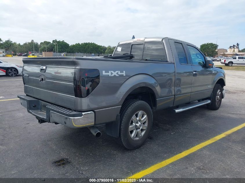 2013 FORD F-150 XLT - 1FTFX1ET5DFB58514