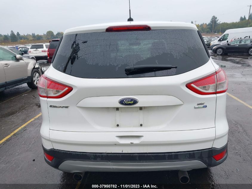 2013 FORD ESCAPE SE - 1FMCU9GX4DUD39945