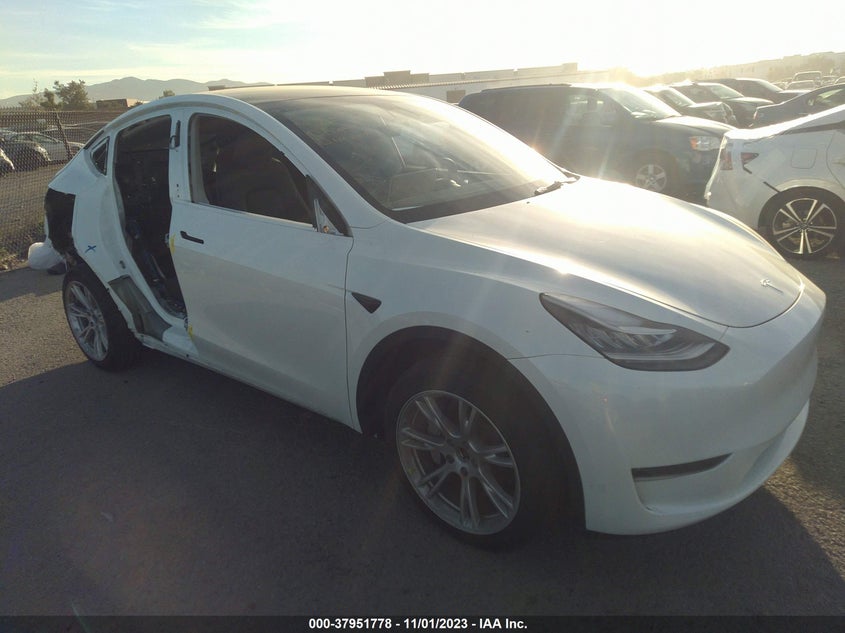 VIN 7SAYGDEEXPA098282 2023 TESLA MODEL Y